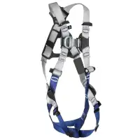 DBI SALA XE50 Auffang- und Rettungsgurt