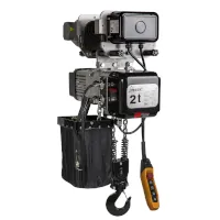 DELTA Elektrischer Kettenzug SG 