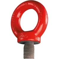 Kleinsorge Hochfeste Ringschrauben