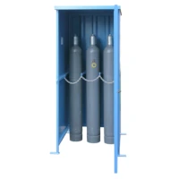 LaCont Gasflaschenschränke FCG 6.08 max. Anzahl 6 (Gasflaschen Ø 220)   Artikel-Nr.: C27-3101-B