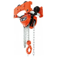 REMA Flaschenzug mit Fahrwerk S20