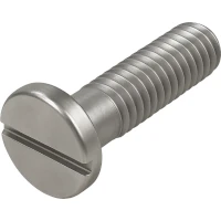  Austenite (A2) Flachkopfschlitzschraube DIN 85