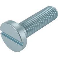 ISO 1580 Schlitz-Flachkopfschrauben 