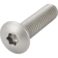  Austenite (A2) Schrauben ISO 7380 ISR