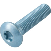  10.9 galv. verz. Schrauben ISO 7380 ISR