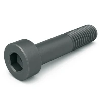  8.8 Zylinderschrauben DIN 6912