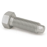  8.8 Schraube DIN 561 B