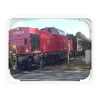 EUvex Universal-Spiegel