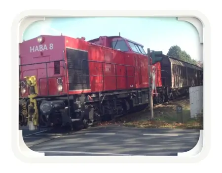 EUvex Universal-Spiegel  40 x 60 