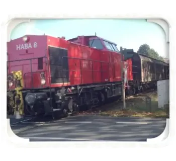 EUvex Universal-Spiegel  40 x 60 